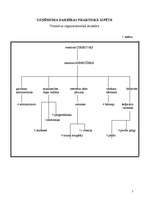 Prakses atskaite 'Viesnīca "Bellevue"', 6.