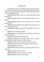 Prakses atskaite 'Viesnīca "Bellevue"', 9.