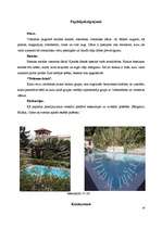 Prakses atskaite 'Viesnīca "Bellevue"', 15.