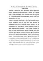 Referāts 'Lēmumu pieņemšanas process Eiropas Savienībā', 7.