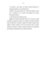 Referāts 'Lēmumu pieņemšanas process Eiropas Savienībā', 29.