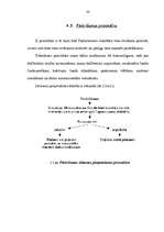 Referāts 'Lēmumu pieņemšanas process Eiropas Savienībā', 30.