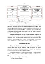 Diplomdarbs 'Starpkultūru komunikācija Eiropas brīvprātīgajā darbā', 11.