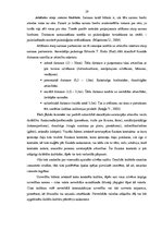 Diplomdarbs 'Starpkultūru komunikācija Eiropas brīvprātīgajā darbā', 19.