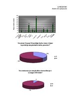 Diplomdarbs 'Starpkultūru komunikācija Eiropas brīvprātīgajā darbā', 70.