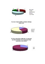 Diplomdarbs 'Starpkultūru komunikācija Eiropas brīvprātīgajā darbā', 72.