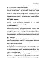 Diplomdarbs 'Starpkultūru komunikācija Eiropas brīvprātīgajā darbā', 73.