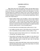 Referāts 'Personīgā higiēna un tās ievērošana jauniešu vidū', 7.