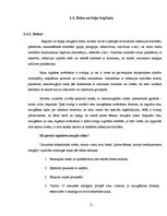 Referāts 'Personīgā higiēna un tās ievērošana jauniešu vidū', 11.