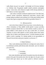 Referāts 'Bērnu vizuāli mākslinieciskā darbība', 5.