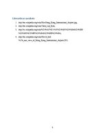 Referāts 'Lidosta "Chek Lap kok"', 9.