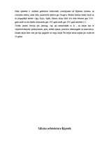 Referāts 'Koka arhitektūra Ķīpsalā', 8.