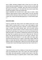 Referāts 'Koka arhitektūra Ķīpsalā', 19.