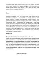 Referāts 'Koka arhitektūra Ķīpsalā', 20.