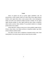 Referāts 'Aršanas tehnoloģijas. Aršanas kļūdas', 2.