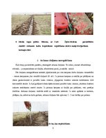 Referāts 'Aršanas tehnoloģijas. Aršanas kļūdas', 5.