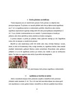 Referāts 'Aršanas tehnoloģijas. Aršanas kļūdas', 6.