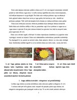 Referāts 'Aršanas tehnoloģijas. Aršanas kļūdas', 7.