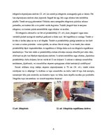 Referāts 'Aršanas tehnoloģijas. Aršanas kļūdas', 8.