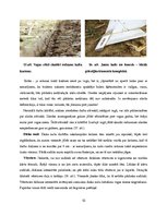 Referāts 'Aršanas tehnoloģijas. Aršanas kļūdas', 10.