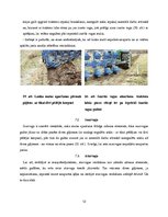 Referāts 'Aršanas tehnoloģijas. Aršanas kļūdas', 12.