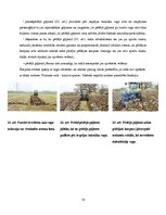 Referāts 'Aršanas tehnoloģijas. Aršanas kļūdas', 13.