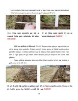 Referāts 'Aršanas tehnoloģijas. Aršanas kļūdas', 15.