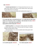 Referāts 'Aršanas tehnoloģijas. Aršanas kļūdas', 16.