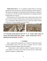 Referāts 'Aršanas tehnoloģijas. Aršanas kļūdas', 17.