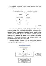 Diplomdarbs 'Gaļas PH ietekme, ražojot kūpinātu cūkgaļu', 17.