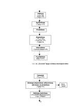 Diplomdarbs 'Gaļas PH ietekme, ražojot kūpinātu cūkgaļu', 18.