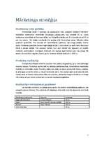 Biznesa plāns 'Fotostudija "Fotolukss"', 7.