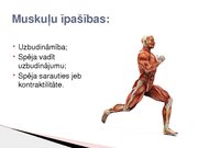 Konspekts 'Skeleta muskuļu kontrakcijas režīmi', 6.