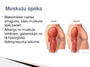 Konspekts 'Skeleta muskuļu kontrakcijas režīmi', 10.