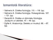 Konspekts 'Skeleta muskuļu kontrakcijas režīmi', 15.