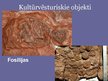 Prezentācija 'Melnā Āfrika', 12.