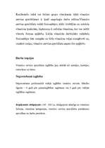 Referāts 'Mana nākotnes profesija - viesnīcu servisa speciālists', 9.