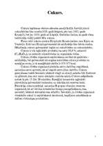 Referāts 'Cukurs', 1.