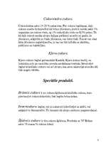 Referāts 'Cukurs', 4.