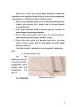 Referāts 'Flīžu grīdas', 4.