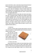 Referāts 'Flīžu grīdas', 6.