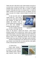 Referāts 'Flīžu grīdas', 8.