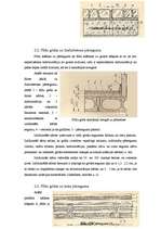 Referāts 'Flīžu grīdas', 14.