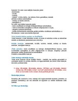 Konspekts 'Atbildes uz eksāmena jautājumiem. Vispārējā valsts zinātne', 10.