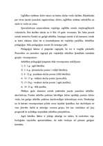 Referāts 'Izglītības sistēma', 7.