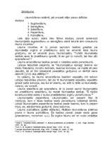 Referāts 'Tiesību un likumdošanas sistēma', 3.