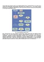 Referāts 'Мосты, концентраторы, коммутаторы и маршрутизаторы', 5.