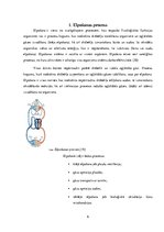 Referāts 'Mācību stundās izmantoto darbību veidu ietekme uz ogļskābās gāzes koncentrāciju ', 6.