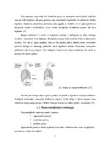 Referāts 'Mācību stundās izmantoto darbību veidu ietekme uz ogļskābās gāzes koncentrāciju ', 7.