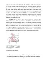 Referāts 'Mācību stundās izmantoto darbību veidu ietekme uz ogļskābās gāzes koncentrāciju ', 20.